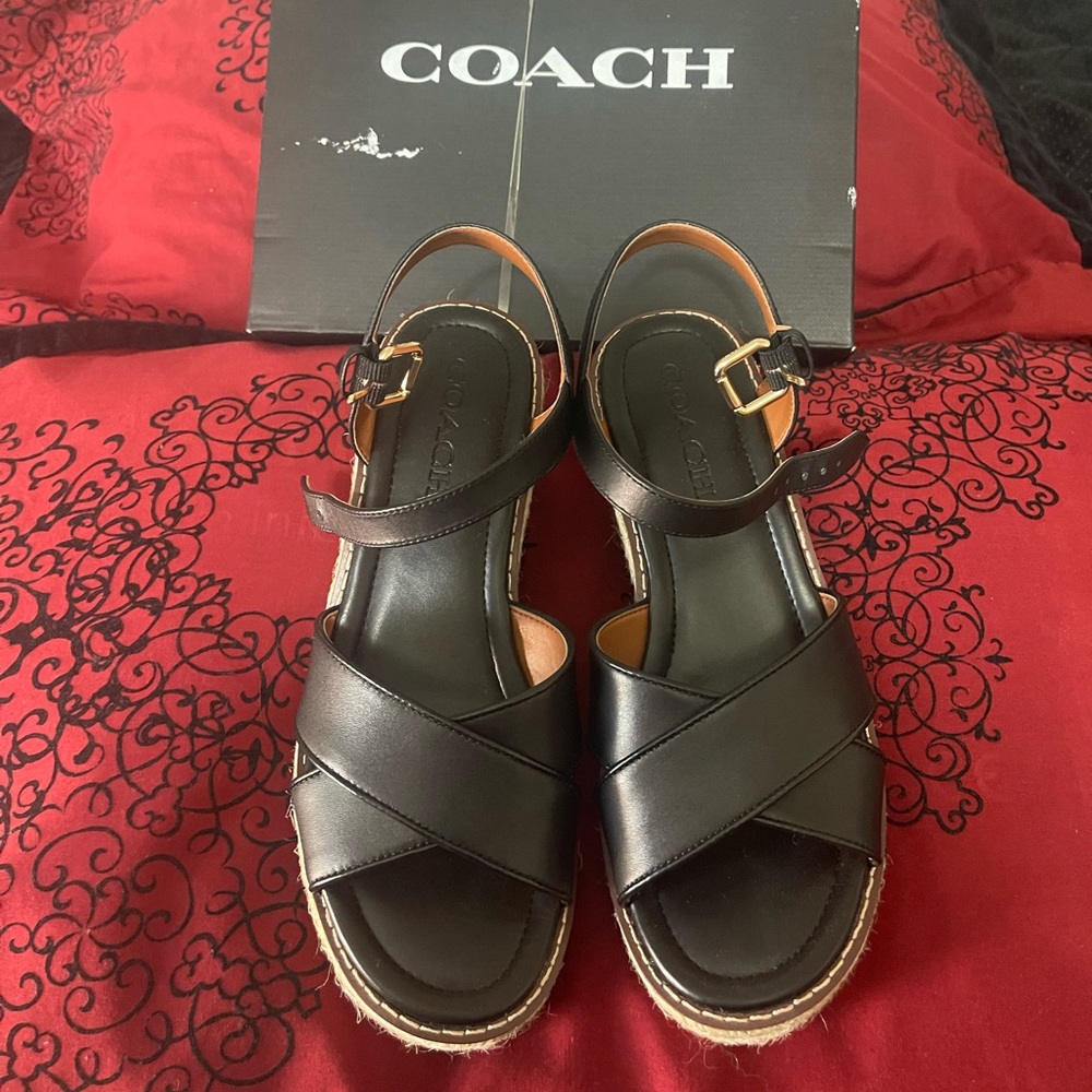 Coach shoes